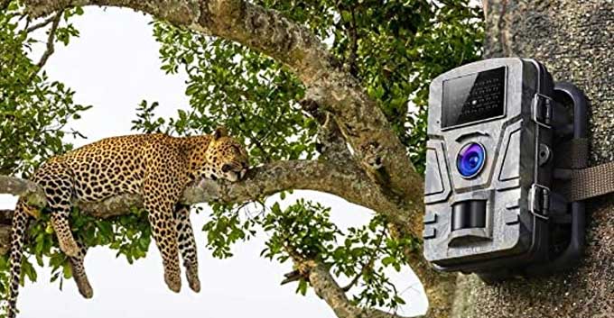 مجری و پیمانکار دوربین مدار بسته و نظارت تصویری در پارک و حیات وحش